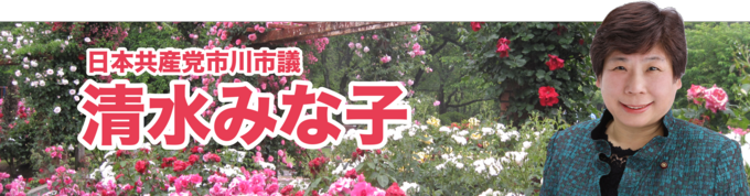 shimizu_brog.png